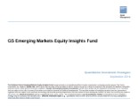 GS Emerging Markets Equity Insights Fund - Portfolio Review