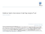 GS International Small Cap Insights Fund - Attribution