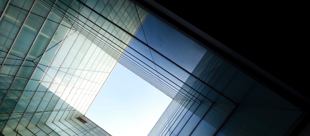 Making Sense of the Markets