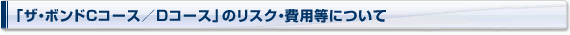 uUE{hCR[X^DR[XṽXNEpɂ