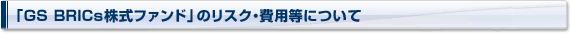 uGS BRICst@hṽXNEpɂ