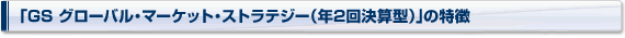 uGS O[oE}[PbgEXgeW[iN2񌈎Z^jv̓