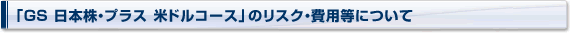 uGS {EvX ăhR[XṽXNEpɂ