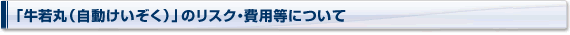 uہijṽXNEpɂ