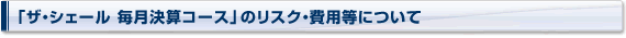uUEVF[@ZR[XṽXNEpɂ
