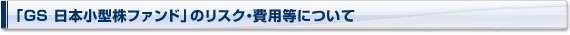uGS {^t@hṽXNEpɂ