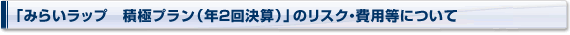 u݂炢bv@ϋɃviN2񌈎ZjṽXNEpɂ